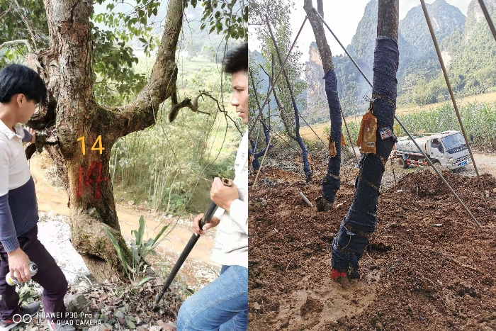 DB电竞(DBGame)官方网站