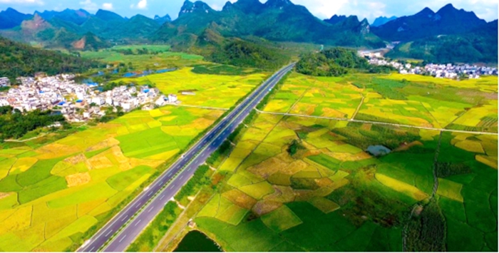 DB电竞(DBGame)官方网站