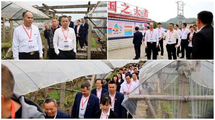 DB电竞(DBGame)官方网站