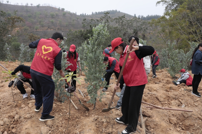 DB电竞(DBGame)官方网站