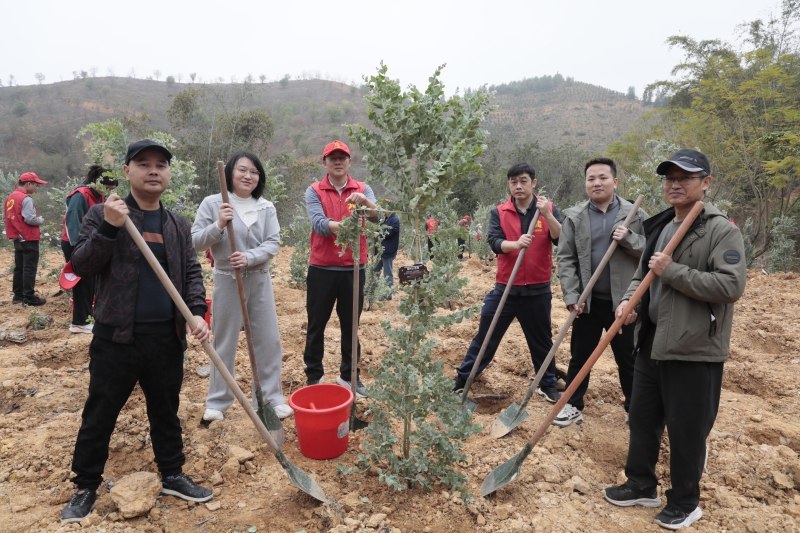 DB电竞(DBGame)官方网站