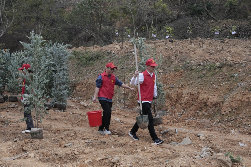 DB电竞(DBGame)官方网站