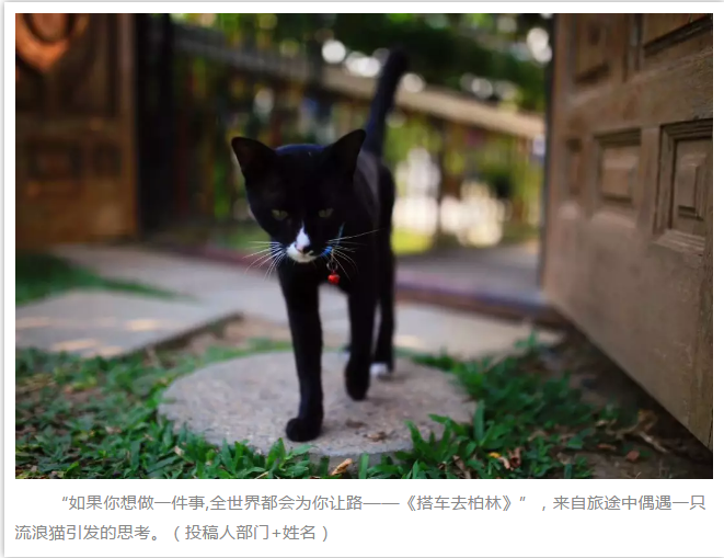 AG真人娱乐- AG真人平台(集团)官方网站